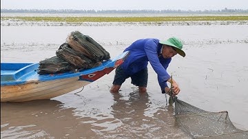 NGHỀ ĐẶC LÚ MÙA NƯỚC NỔI VỀ