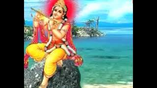 Gopal Muraliya Wale   Radhika Gori Se Krishna Bhajan By Vinod Agarwal