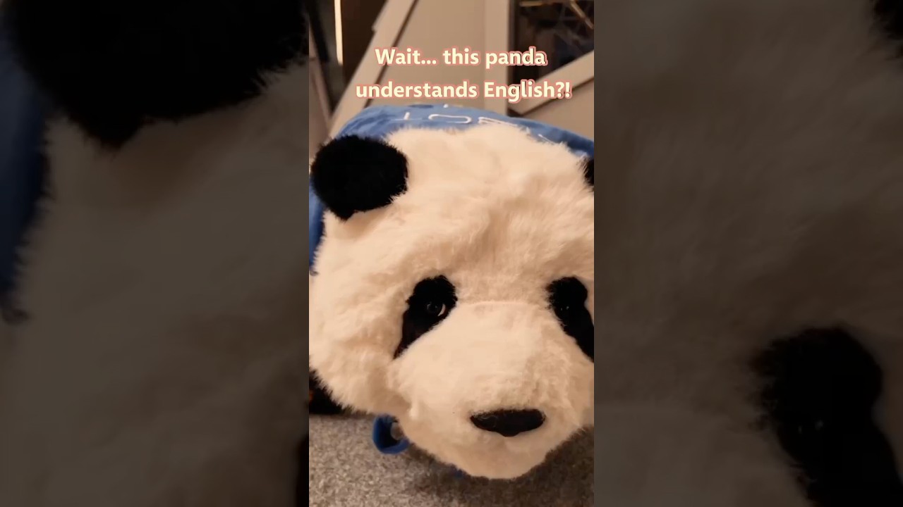 Adorable panda robot goes viral in Shanghai