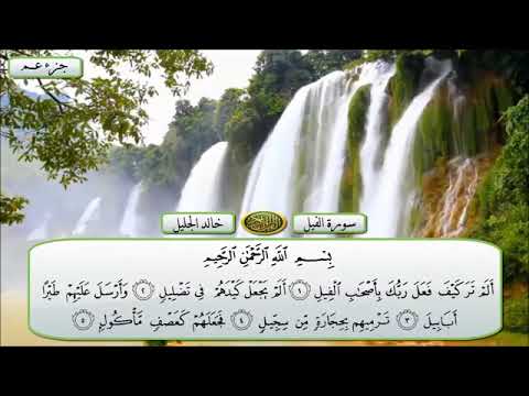 سورة الفيل خالد الجليل طيور الجنة
