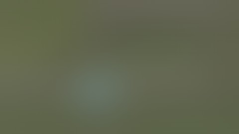 Oxygen Not included Liquid Lock Tutorial