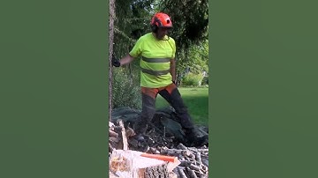 Listen to this SPRUCE FALL