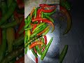 Vlog(06)#गढ़वाली चटनी#viralshort#tastyrecipes#trendingshorts#quickrecipe