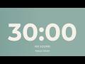 30 Minute Countdown Timer – No Sound | Deep Focus Session