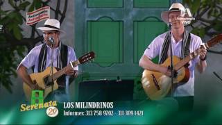 LOS MILINDRINOS - RUBIELA - 2016 chords