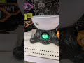 Eyeball candy bowl @ target