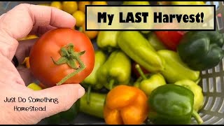 My LAST Harvest!