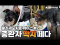 중환자 딱지, 이젠 떼어보자  #줄기세포치료