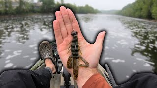 Catching BIG River Bass On Swing Head Jigs