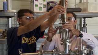 Impact: Burning Biomass for Energy