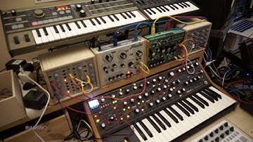 Sunday Studiofun with Moog Sub37 and Dreadbox (Riamiwo StudioVlog 11)