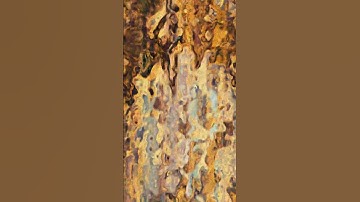 The Merge: Transition Loop #139/152