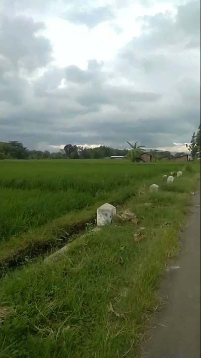 kampung asri||bikin betah#ponorogo