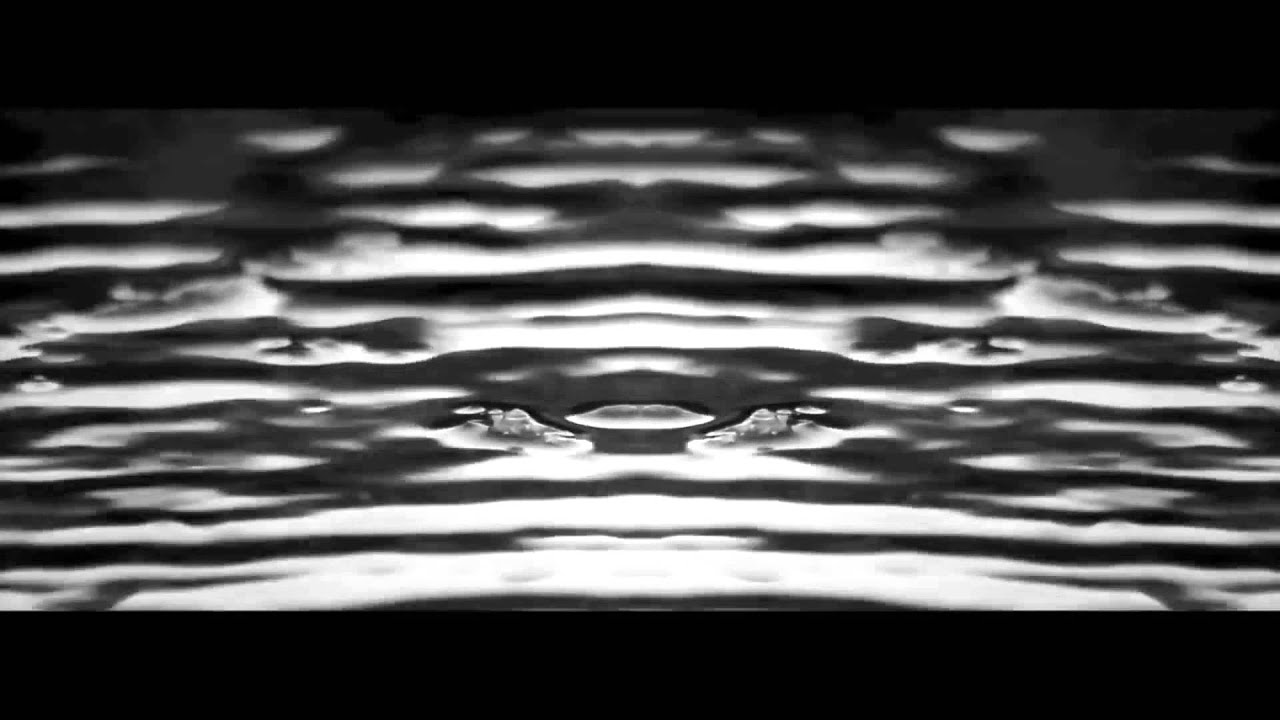 Tomwild Culture-Let Down