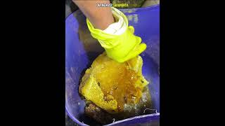 Petualangan Mencari Madu Lebah Liar 4/4 #jemodusuntv