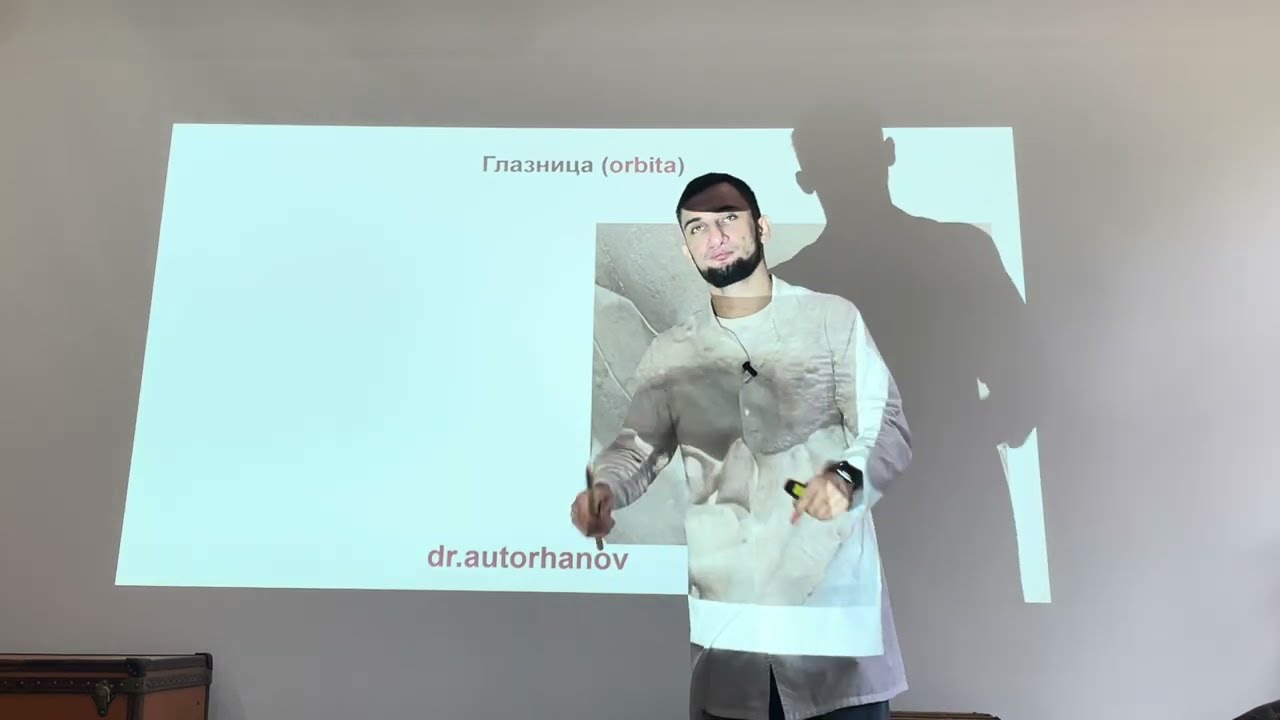 АНАТОМИЯ ГЛАЗНИЦЫ, СТРОЕНИЕ ГЛАЗНИЦЫ, ГЛАЗНИЦА