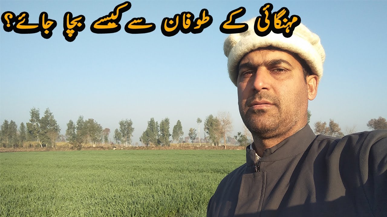 3d Pen Rate In Pakistan 3d Pen Rate In Pakistan