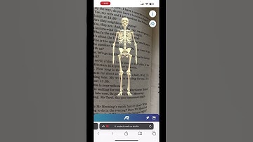 Augmented Reality Test #AR #webAR