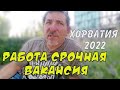 Хорватия. Загреб. Срочно вакансия. Работа для мужчин июнь 2022.