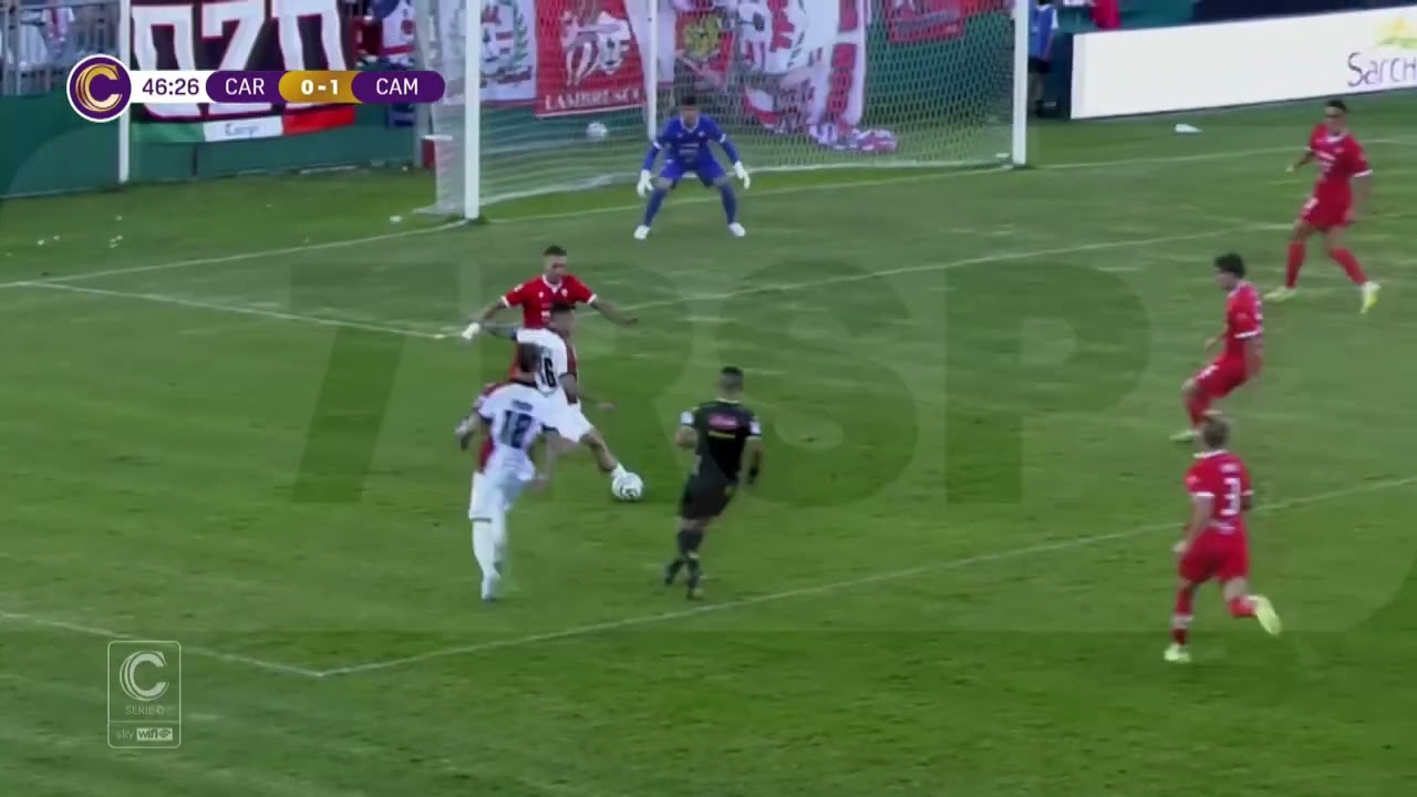 Campobasso crede nei playoff e pensa al match col Carp - TRSP - Sport - News del 14-01-2026