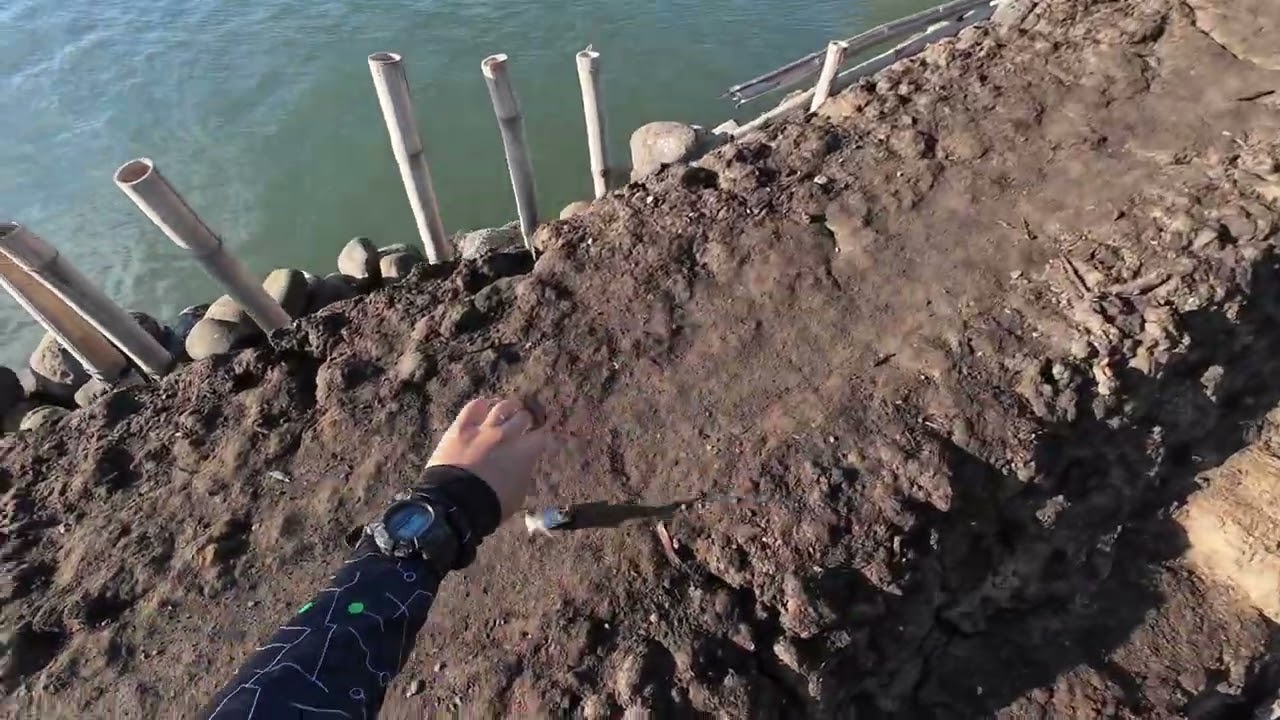 Ajing game | Light game | Ultralight fishing ep. 38