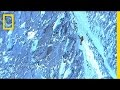 Choose The NG 2015 Adventurer Of The Year National Geographic Choose The NG 2015 Adventurer Of The Year National Geographic