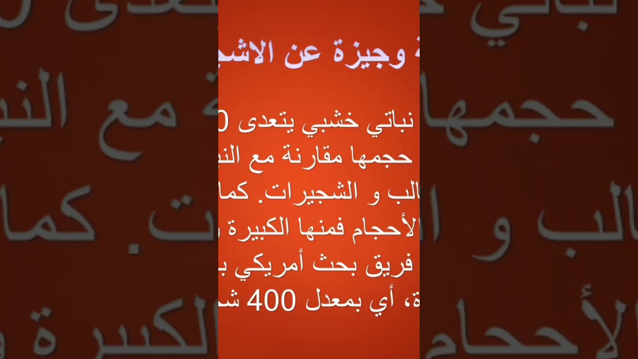 الشجرة جزء 1