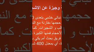 الشجرة جزء 1