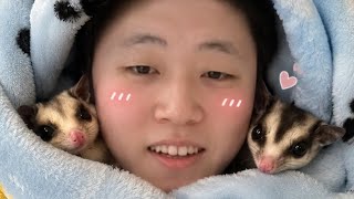 現役ヤクザ黄門組当主筆頭の24時間耐久APEX