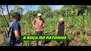 PATONHO NOS LEVA EM SUA ROÇA E RESENHAS