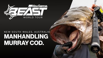 BEAST | Manhandling Murray Cod
