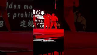 Pinoy Sumo Wrestler In Japan