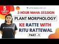 3-Hour Maha Session | Complete Plant Morphology in One-shot | Part 1 | Target NEET 2020