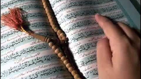 تلاوة رائعة بصوت الشيخ نبيل العوضي