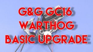 G&G GC16 Warthog 7' Upgrade DM.AC Raven Custom