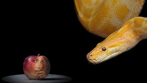 [教學影片] 如何在蘋果電腦 macOS 安裝 Python 人工智慧套件