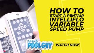 ⚡ How to Start a Pentair IntelliFlo Variable Speed Pump | Ask the Pool Guy #PoolMaintenance