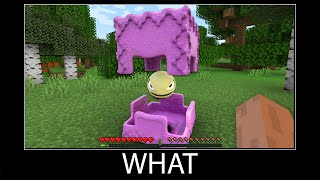 Minecraft wait what meme part 158 realistic minecraft Shulker