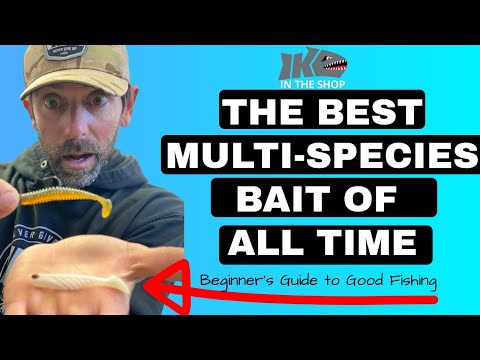 The BEST Multi-species LURE of ALL TIME (Beginner's Guide to Good