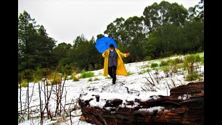 Rare snowfall on Grizzly Peak, Berkeley, February 24, 2023, filmed by paul iorio.