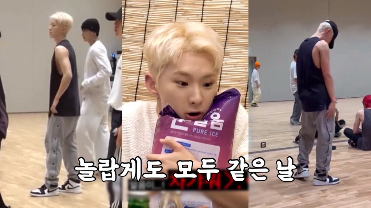 [세븐틴/호시] 만취 안무 연습