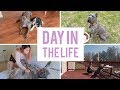 A day in the life of my Cane Corso - Living with a Cane Corso