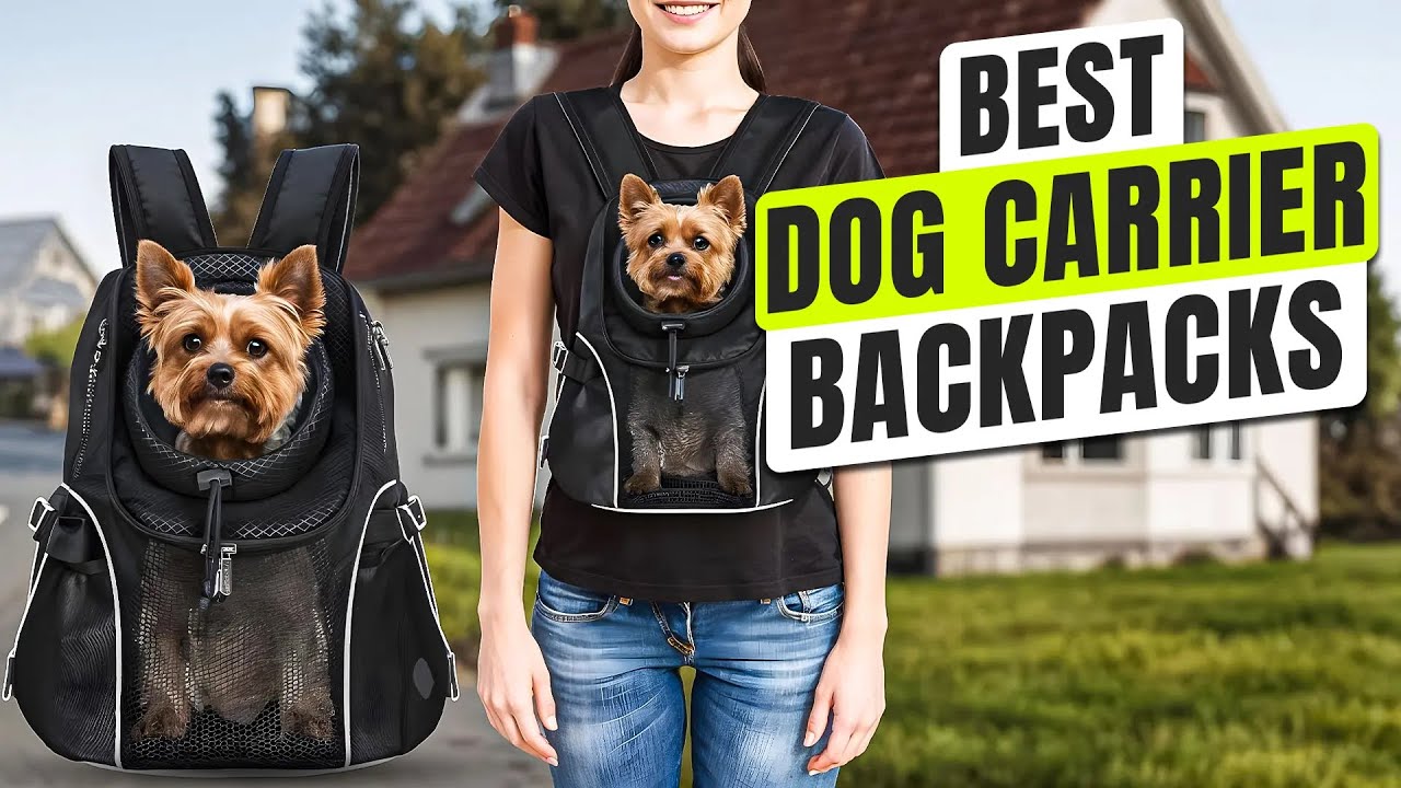3 BEST Dog Carrier Backpacks