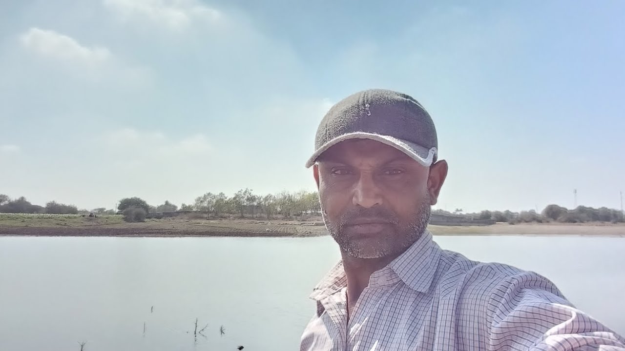 તરાવ વારે કાળા તલ વાવી દીધા ઉગી ગયા છે 🌿🌿