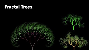Fractal | Java Python C++