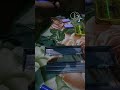 আলহামদুলিল্লাহ  ২০০ টাকায় ৬ সেলের ব্যাটারি কিনে প্রথম বার  ৬ টায় ভালো পেলাম