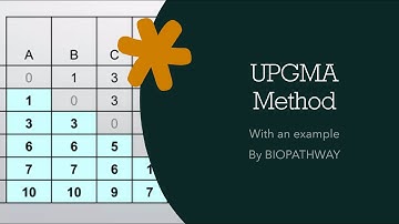 UPGMA Algorithm: Unweighted Pair Group Method with Arithmetic Mean