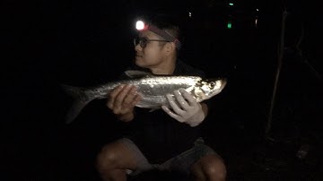 Cắm trại câu thiểu đêm hồ Suối Hai Ba Vì - Test bãi thiểu mới và cái kết