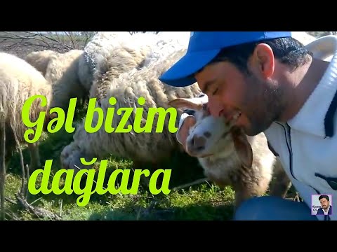 Pervin Seferov - Gel Bizim Dağlara  | Azerbaycanli Çoban