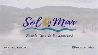 видео Отзывы об отеле » Sol Y Mar Paradise Beach Resort (Сол и Мар Пэрадайз Бич Ризот) 4* » Сафага » Египет
, горящие туры, отели, отзывы, фото